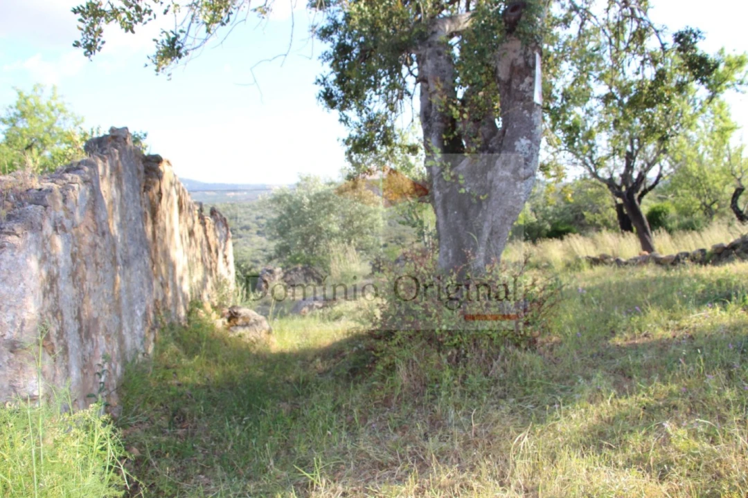 Terreno para Venda em Santa Catarina da Fonte do Bispo Foto 6