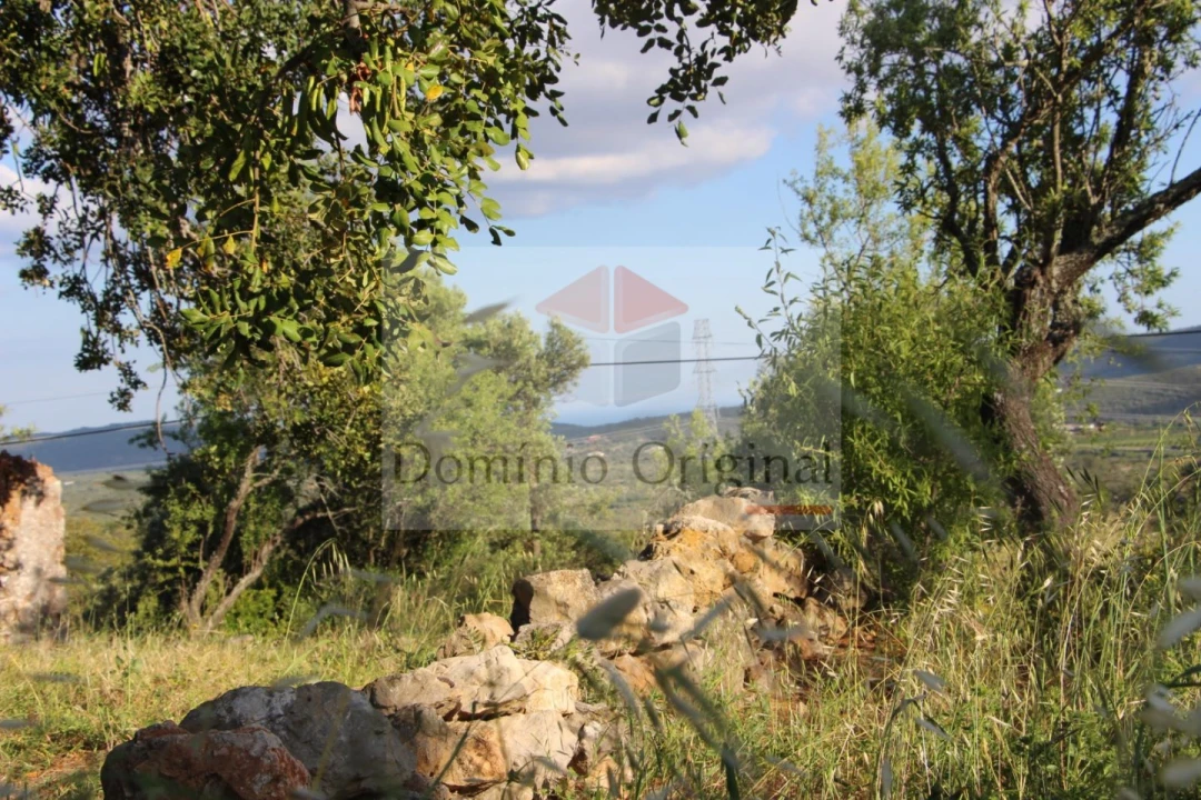 Terreno para Venda em Santa Catarina da Fonte do Bispo Foto 12