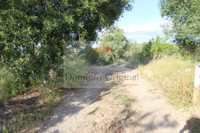 Terreno para Venda em Santa Catarina da Fonte do Bispo Foto 9