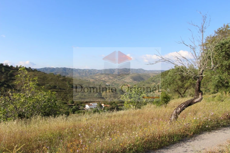 Terreno para Venda em Santa Catarina da Fonte do Bispo Foto 11