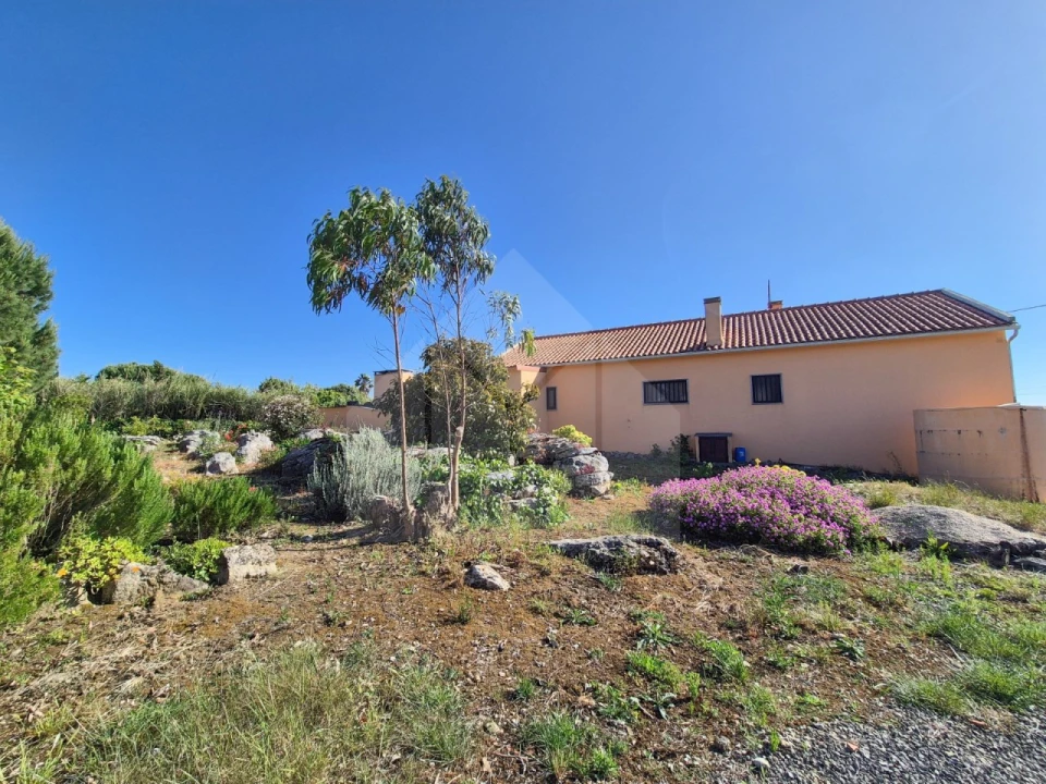 Moradia T3 para Venda em Reguengo Grande Foto 49