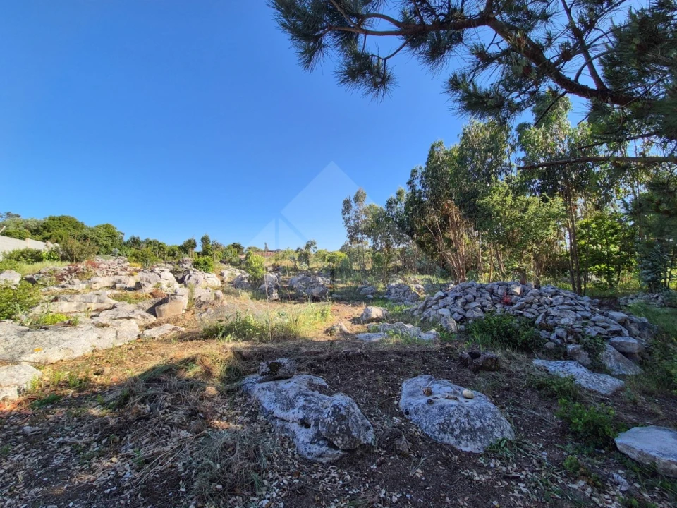 Moradia T3 para Venda em Reguengo Grande Foto 59