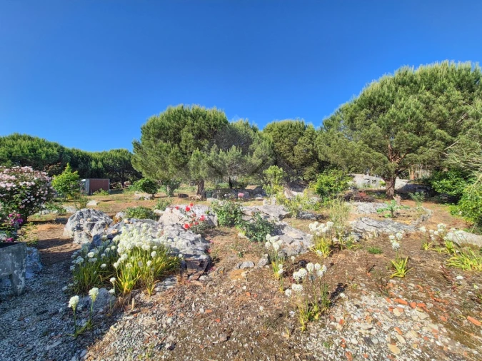 Moradia T3 para Venda em Reguengo Grande Foto 46