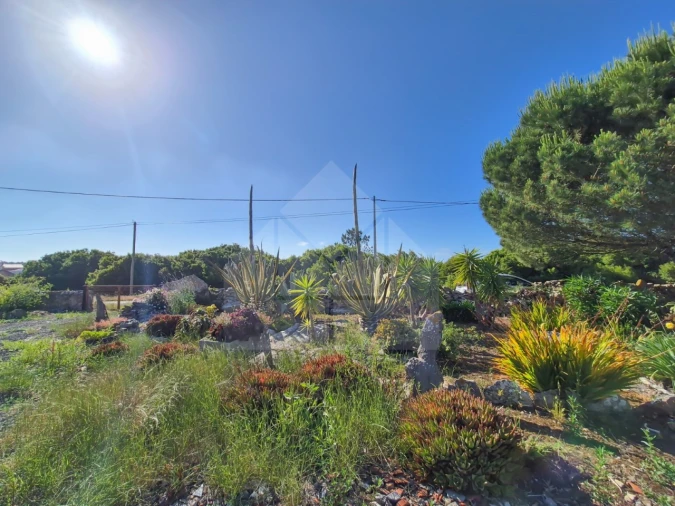 Moradia T3 para Venda em Reguengo Grande Foto 50