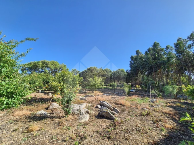 Moradia T3 para Venda em Reguengo Grande Foto 53