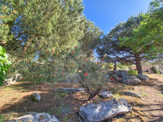 Moradia T3 para Venda em Reguengo Grande Foto 61