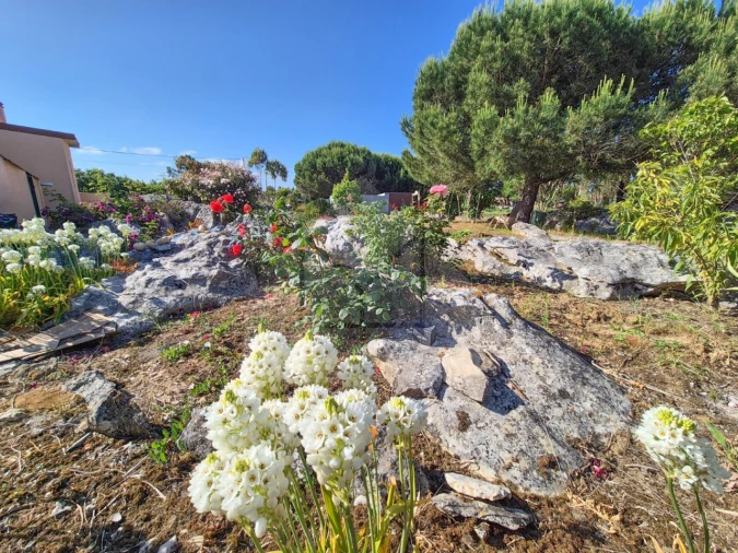 Moradia T3 para Venda em Reguengo Grande Foto 64