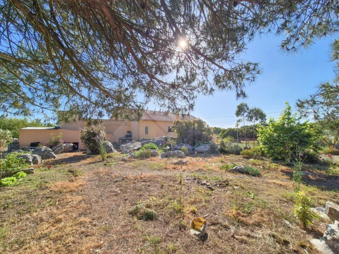 Moradia T3 para Venda em Reguengo Grande Foto 18