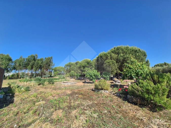 Moradia T3 para Venda em Reguengo Grande Foto 19