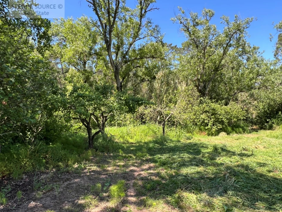 Quinta T4 para Venda em Sesimbra (Castelo) Foto 28