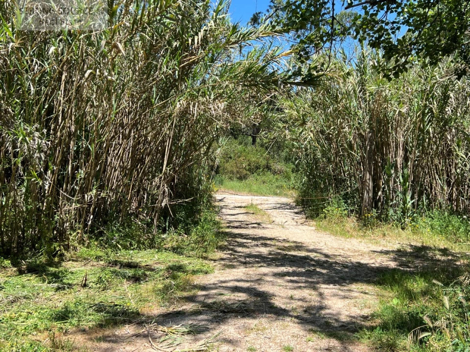 Quinta T4 para Venda em Sesimbra (Castelo) Foto 31