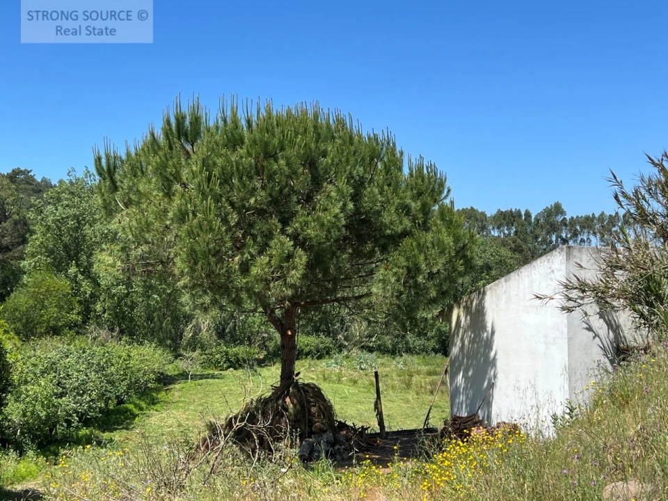 Quinta T4 para Venda em Sesimbra (Castelo) Foto 39