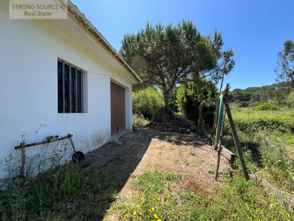 Quinta T4 para Venda em Sesimbra (Castelo) Foto 40