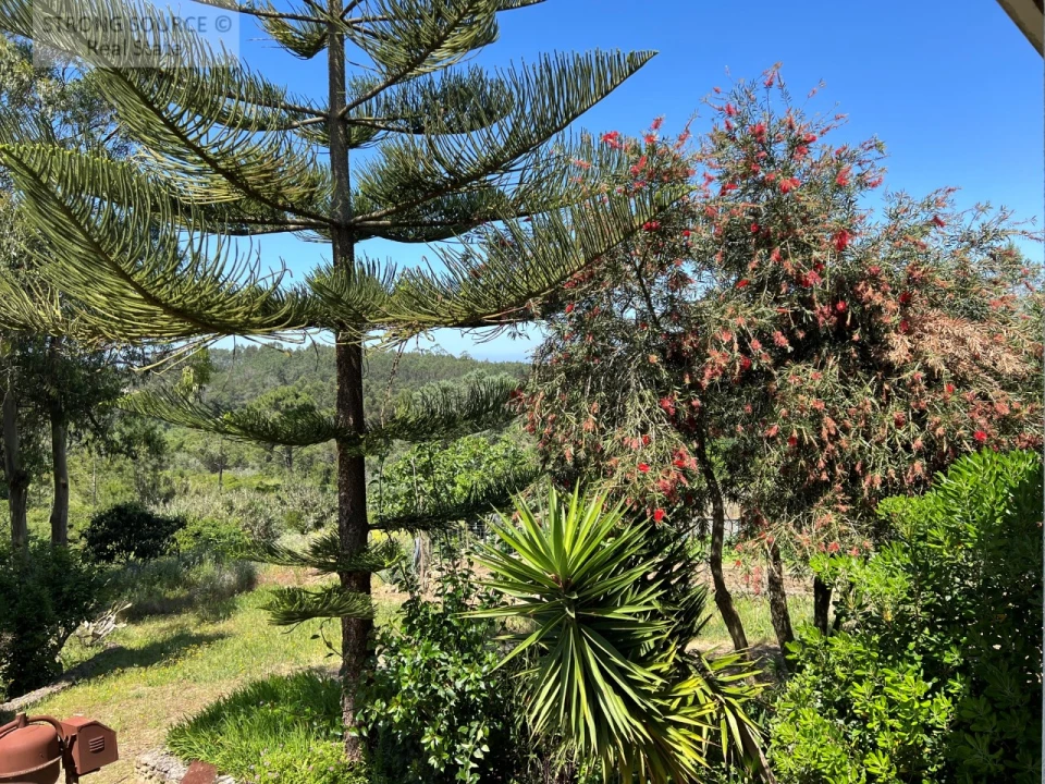 Quinta T4 para Venda em Sesimbra (Castelo) Foto 55