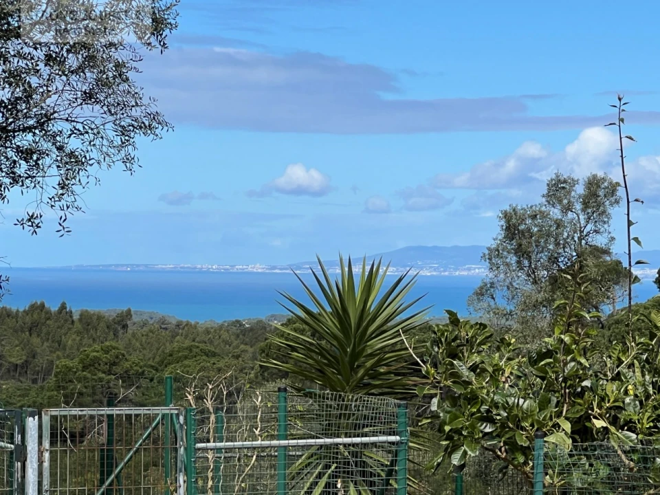 Quinta T4 para Venda em Sesimbra (Castelo) Foto 150