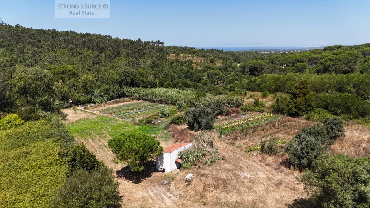 Quinta T4 para Venda em Sesimbra (Castelo) Foto 5