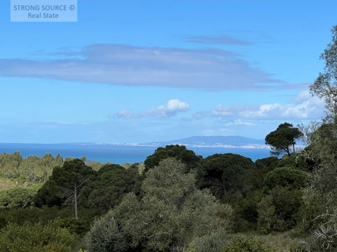 Quinta T4 para Venda em Sesimbra (Castelo) Foto 16