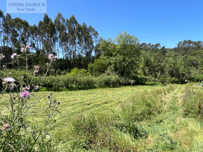 Quinta T4 para Venda em Sesimbra (Castelo) Foto 26