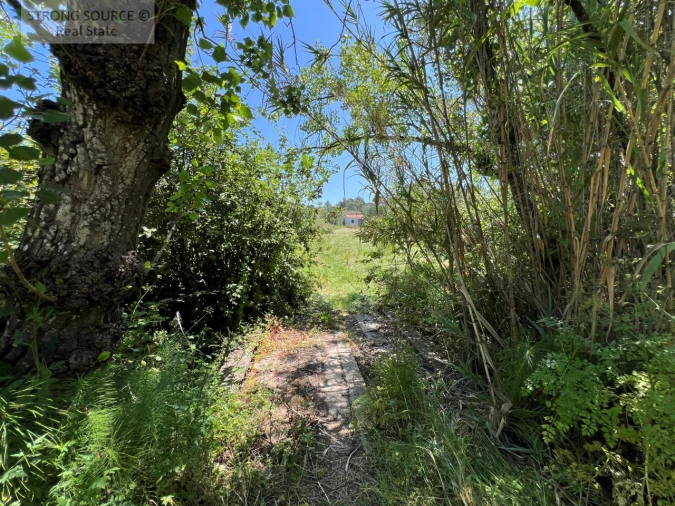 Quinta T4 para Venda em Sesimbra (Castelo) Foto 32