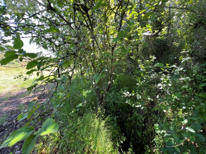 Quinta T4 para Venda em Sesimbra (Castelo) Foto 33