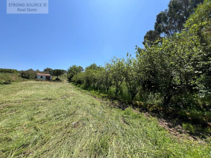 Quinta T4 para Venda em Sesimbra (Castelo) Foto 36