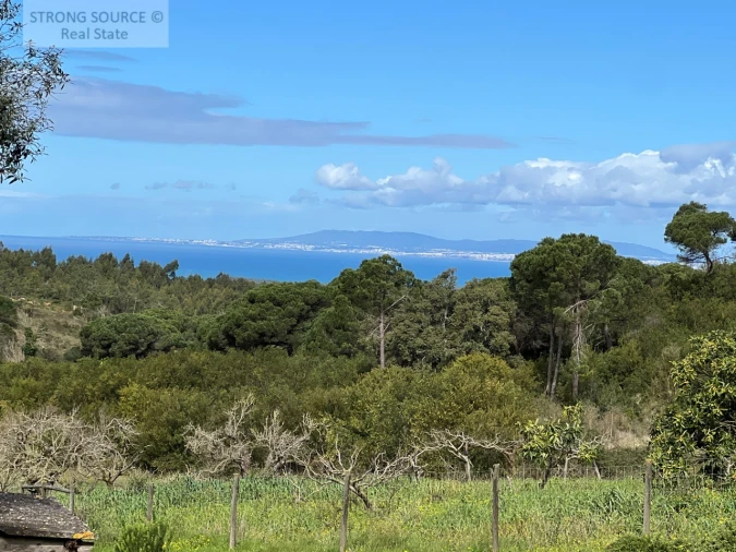 Quinta T4 para Venda em Sesimbra (Castelo) Foto 42