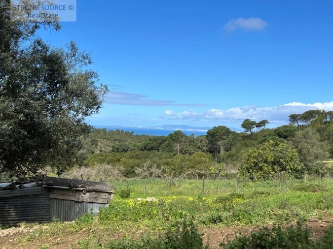 Quinta T4 para Venda em Sesimbra (Castelo) Foto 43