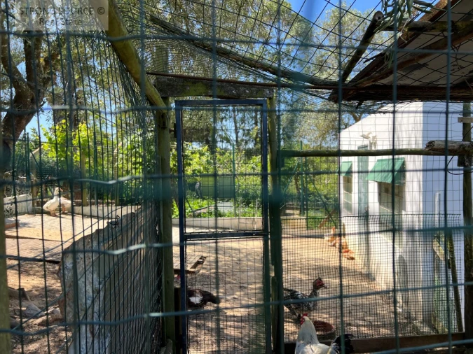 Quinta T4 para Venda em Sesimbra (Castelo) Foto 57