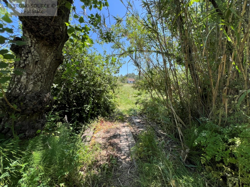 Quinta T4 para Venda em Sesimbra (Castelo) Foto 21