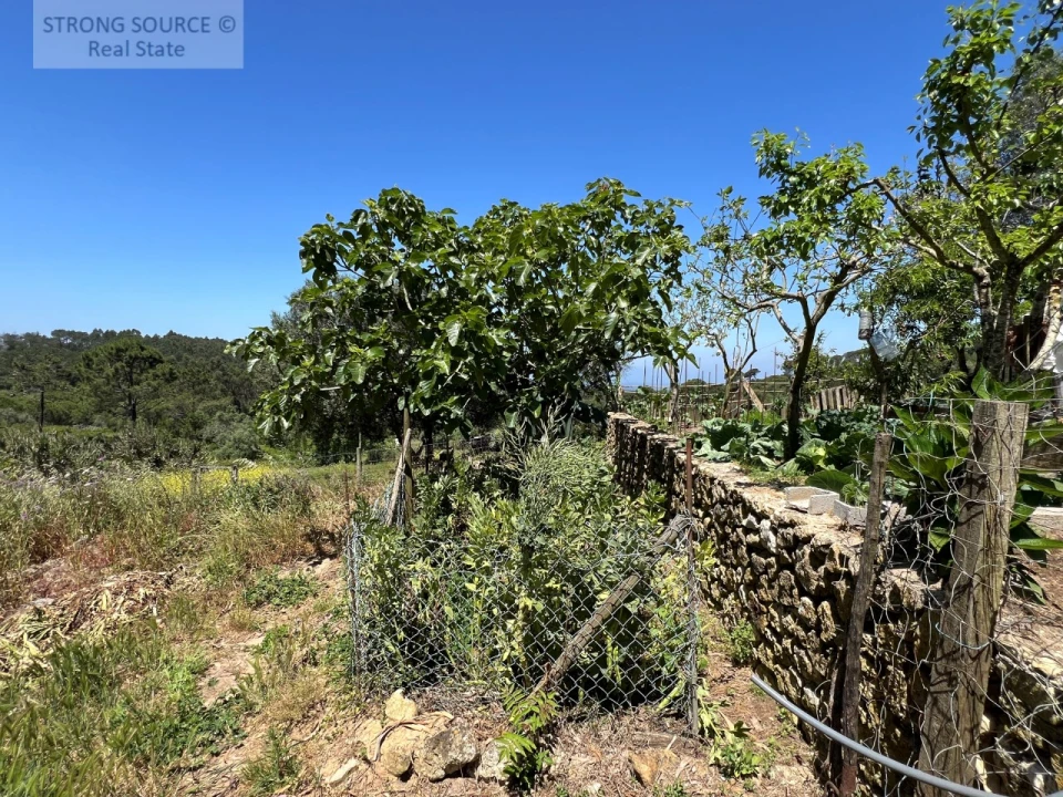 Quinta T4 para Venda em Sesimbra (Castelo) Foto 35