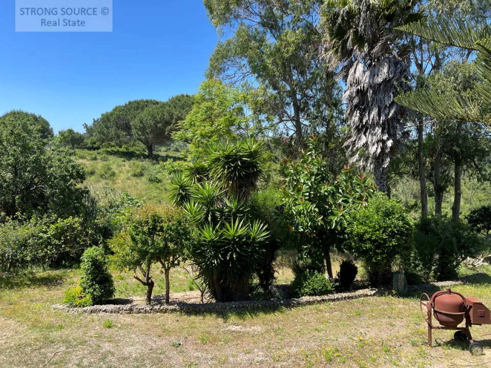 Quinta T4 para Venda em Sesimbra (Castelo) Foto 41