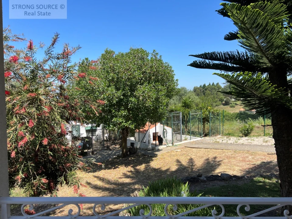 Quinta T4 para Venda em Sesimbra (Castelo) Foto 45