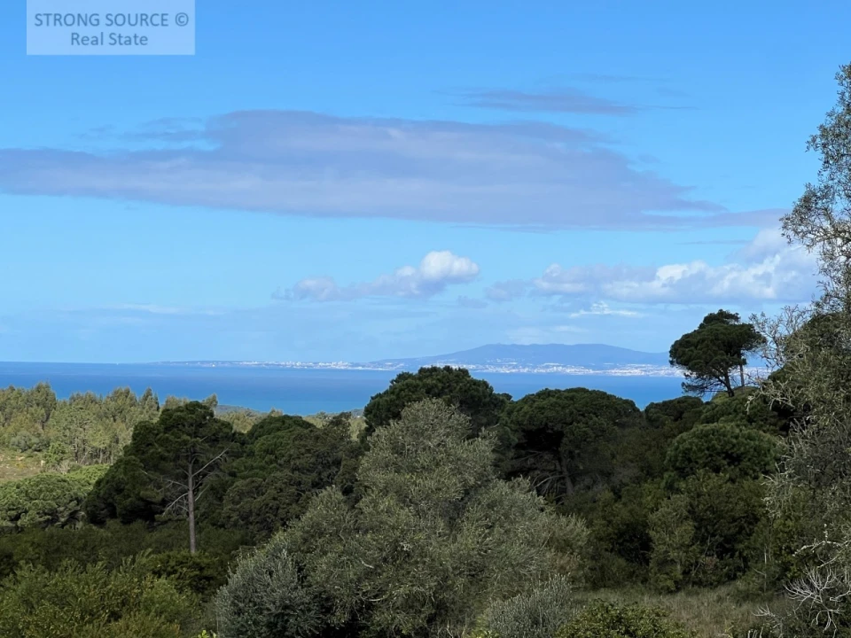 Quinta T4 para Venda em Sesimbra (Castelo) Foto 5