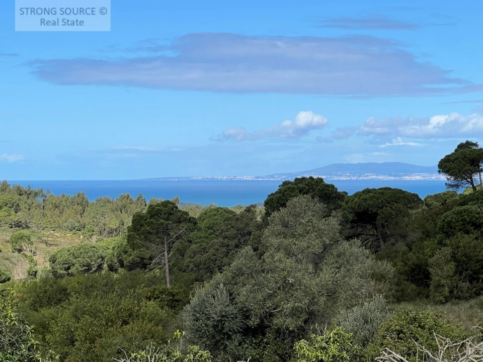 Quinta T4 para Venda em Sesimbra (Castelo) Foto 7