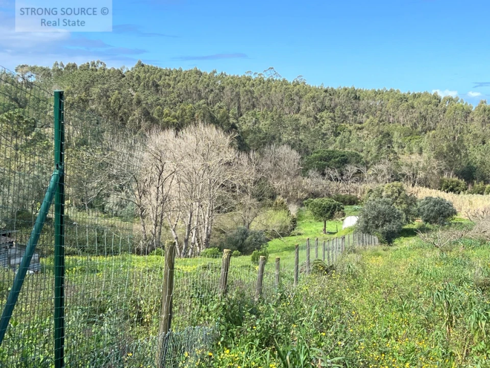 Quinta T4 para Venda em Sesimbra (Castelo) Foto 13