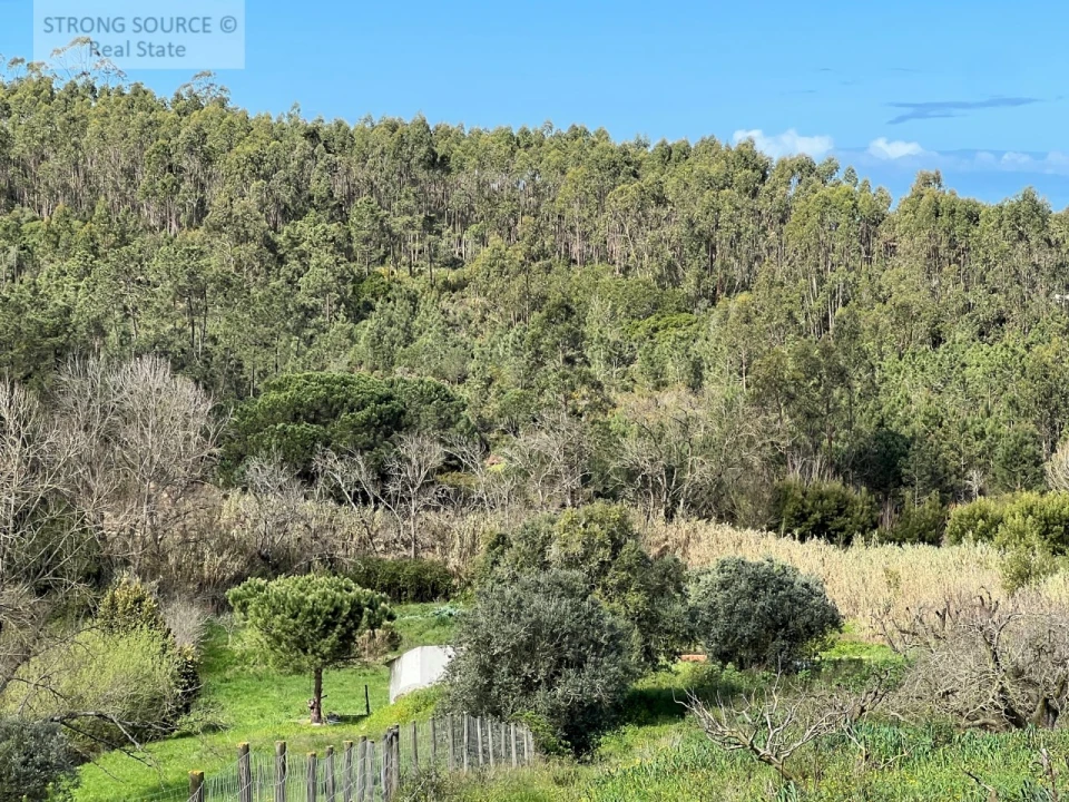 Quinta T4 para Venda em Sesimbra (Castelo) Foto 14