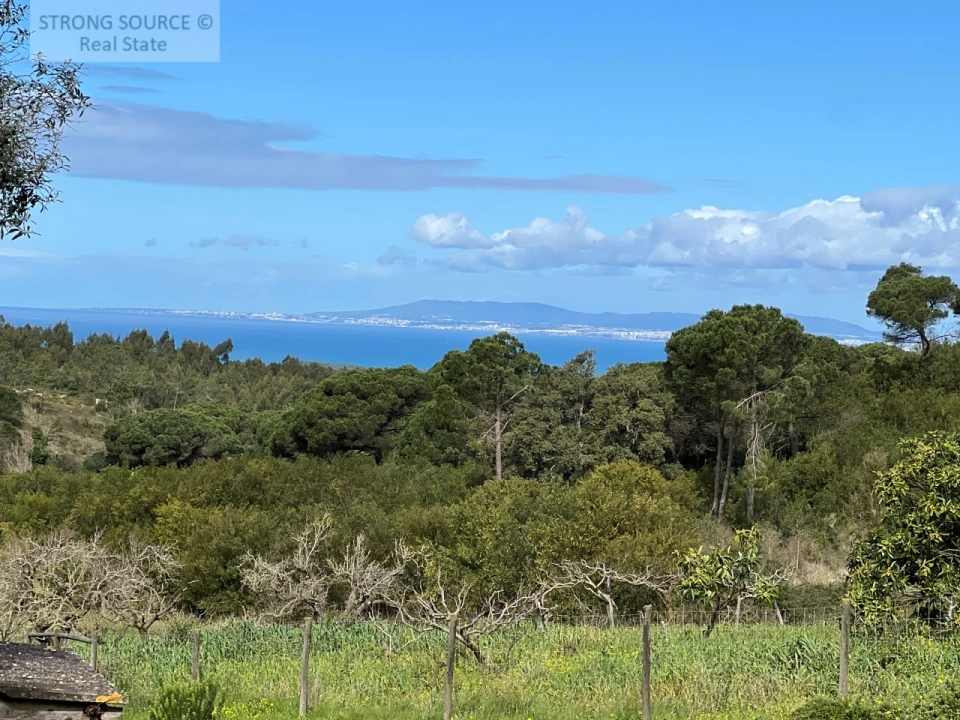 Quinta T4 para Venda em Sesimbra (Castelo) Foto 31