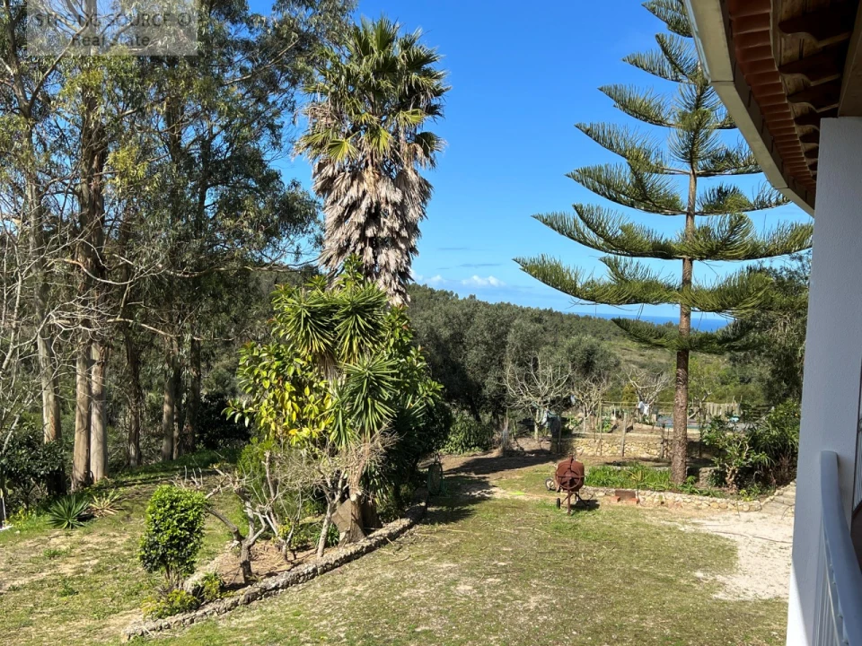 Quinta T4 para Venda em Sesimbra (Castelo) Foto 43