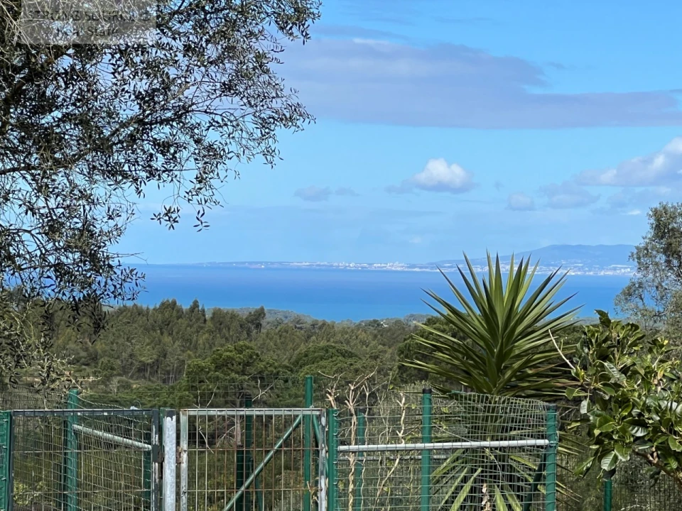 Quinta T4 para Venda em Sesimbra (Castelo) Foto 97