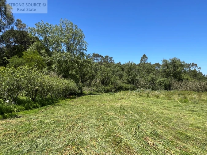 Quinta T4 para Venda em Sesimbra (Castelo) Foto 16