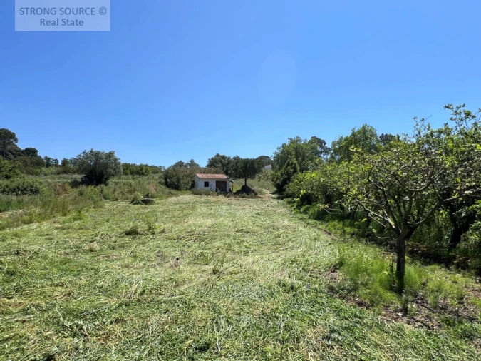 Quinta T4 para Venda em Sesimbra (Castelo) Foto 26