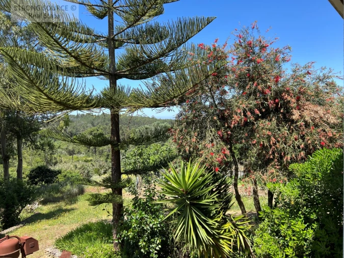 Quinta T4 para Venda em Sesimbra (Castelo) Foto 44