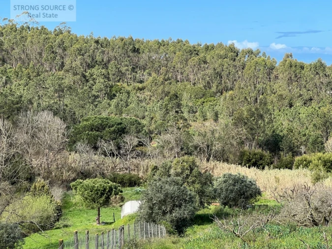 Quinta T4 para Venda em Sesimbra (Castelo) Foto 14