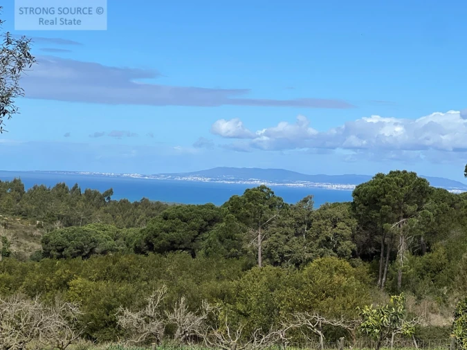 Quinta T4 para Venda em Sesimbra (Castelo) Foto 30