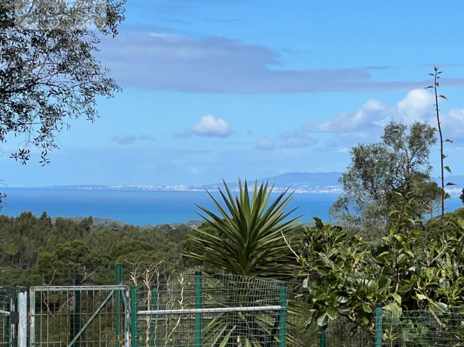 Quinta T4 para Venda em Sesimbra (Castelo) Foto 139