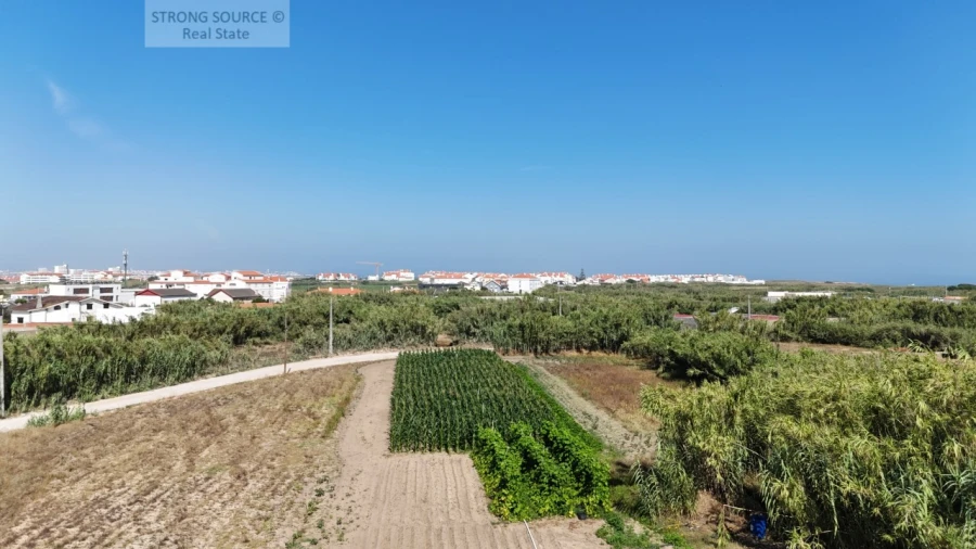 Terreno para Venda em Ferrel Foto 11