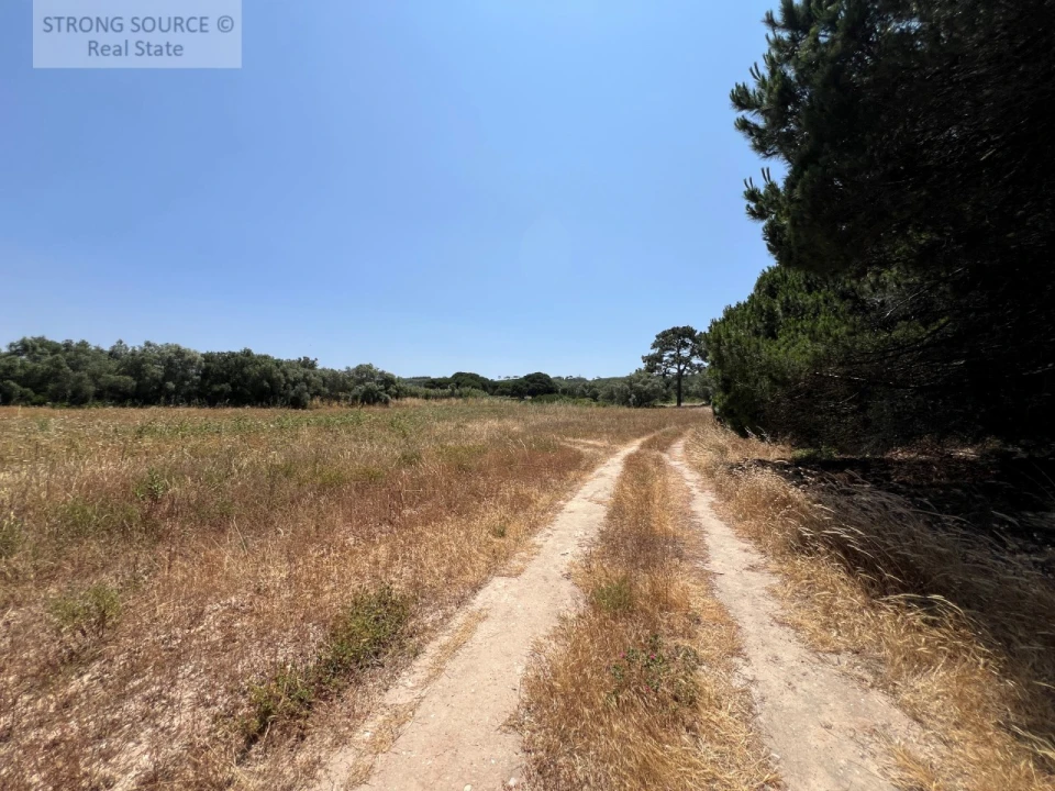 Terreno Agricola ou Rústico para Venda em Sesimbra (Castelo) Foto 27