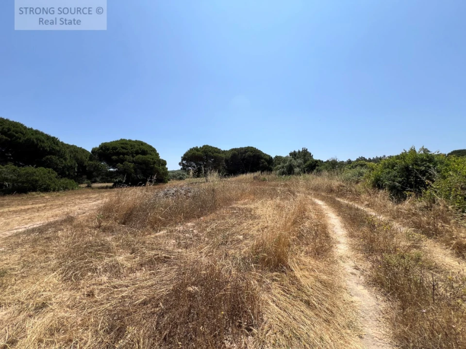 Terreno Agricola ou Rústico para Venda em Sesimbra (Castelo) Foto 29