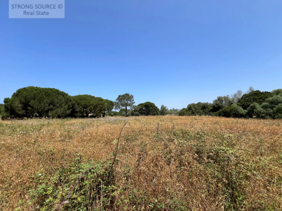 Terreno Agricola ou Rústico para Venda em Sesimbra (Castelo) Foto 30