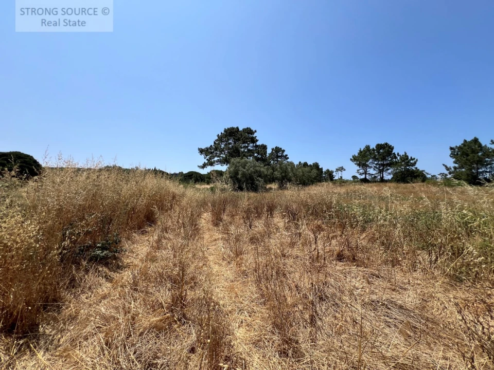 Terreno Agricola ou Rústico para Venda em Sesimbra (Castelo) Foto 31